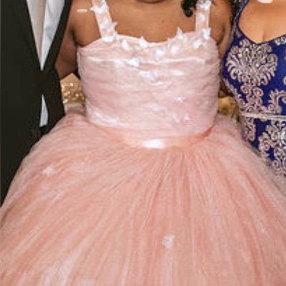 Dresses & Skirts - Elegant Pink Tulle Gown with Butterfly Accents